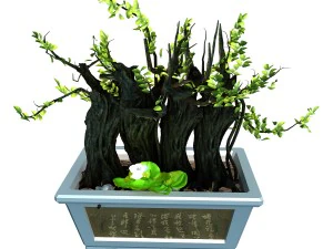 indoor - potted plants - plants 07 3D Model