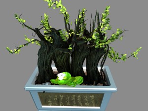 indoor - potted plants - plants 07 Modelo 3D