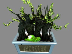indoor - potted plants - plants 07 3D Model