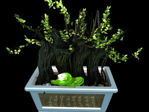 indoor - potted plants - plants 07 3D Model