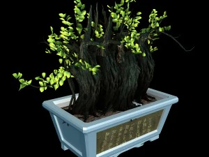 indoor - potted plants - plants 07 3D Model