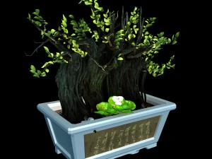 indoor - potted plants - plants 07 3D Model