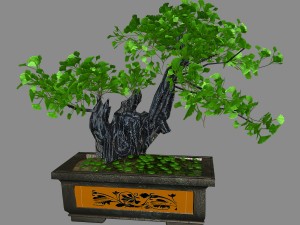 indoor - potted plants - plants 08 Modèle 3D