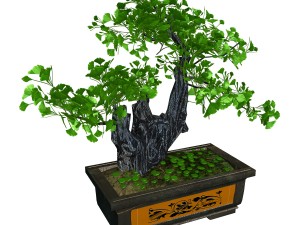 indoor - potted plants - plants 08 3D 模型