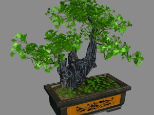 indoor - potted plants - plants 08 3D 模型