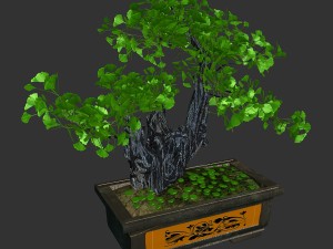 indoor - potted plants - plants 08 3D 模型