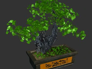 indoor - potted plants - plants 08 3D Model