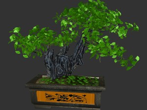 indoor - potted plants - plants 08 3D 模型