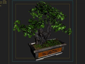indoor - potted plants - plants 08 3D 模型