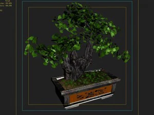 indoor - potted plants - plants 08 3D Model