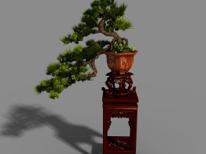 indoor - potted plants - plants 09 3Dモデル