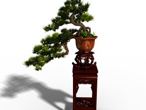 indoor - potted plants - plants 09 3D Модель
