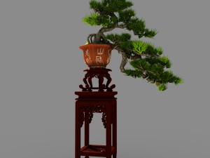 indoor - potted plants - plants 09 3D Модель