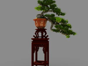 indoor - potted plants - plants 09 3D Model