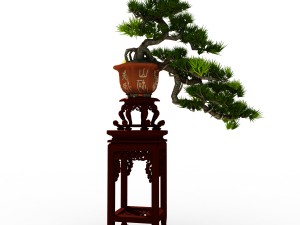 indoor - potted plants - plants 09 3D Модель