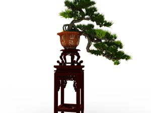 indoor - potted plants - plants 09 3D Model