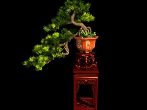indoor - potted plants - plants 09 3D Model