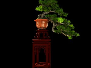 indoor - potted plants - plants 09 3D Model