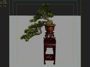 indoor - potted plants - plants 09 3D Model