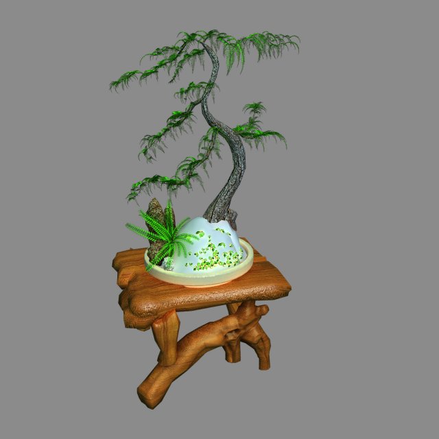indoor - potted plants - plants 010 Modelo 3D .c4d .max .obj .3ds .fbx .stl .blend 