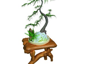 indoor - potted plants - plants 010 Modelo 3D