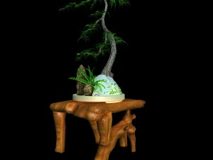indoor - potted plants - plants 010 3D Model