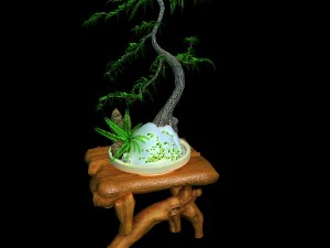 indoor - potted plants - plants 010 3D Model