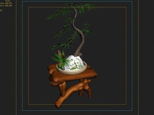 indoor - potted plants - plants 010 Modelo 3D