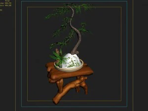 indoor - potted plants - plants 010 3D Model