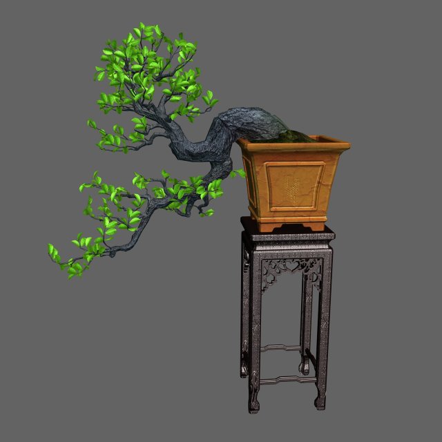 indoor - potted plants - plants 011 3D 모델 .c4d .max .obj .3ds .fbx .stl .blend 
