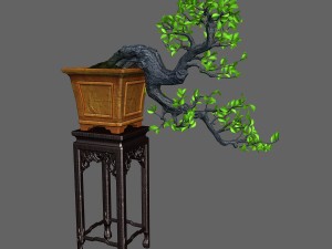 indoor - potted plants - plants 011 3D 모델