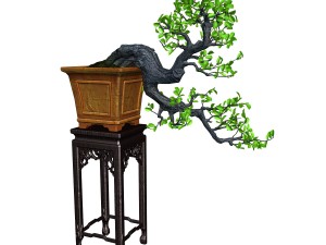 indoor - potted plants - plants 011 3D 모델
