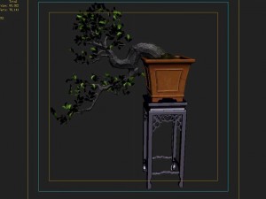 indoor - potted plants - plants 011 3D 모델
