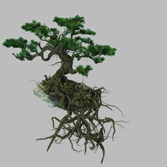 woods - plants - pine 23 Model 3D .c4d .max .obj .3ds .fbx .stl .blend