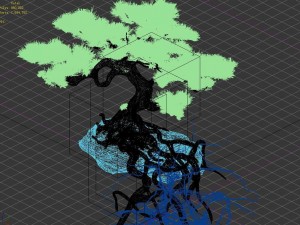 woods - plants - pine 23 Model 3D