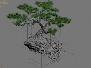 woods - plants - pine 23 Model 3D