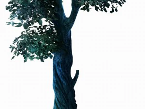 kristal bataklık - garip ağa&ccedil; 02 3D Model