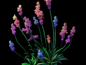 crystal marsh - shrubs 01 3D Model