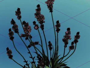 crystal marsh - shrubs 01 3D Model