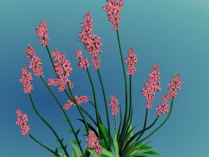 crystal marsh - shrubs 01 3D 모델