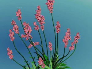 crystal marsh - shrubs 01 3D Model
