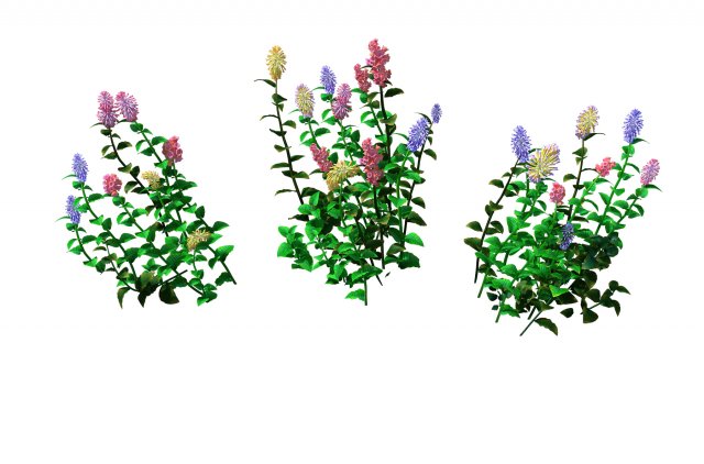 crystal marsh - shrubs 02 Modelo 3D .c4d .max .obj .3ds .fbx .stl .blend 