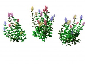 crystal marsh - shrubs 02 Model 3D