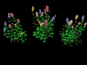 crystal marsh - shrubs 02 Modelo 3D