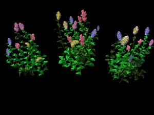 crystal marsh - shrubs 02 3D Model