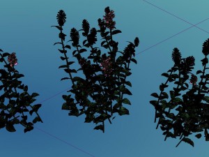 crystal marsh - shrubs 02 Modelo 3D