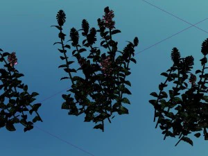 crystal marsh - shrubs 02 3D Model