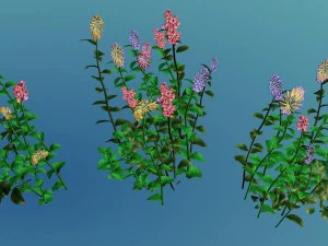 crystal marsh - shrubs 02 3D Model