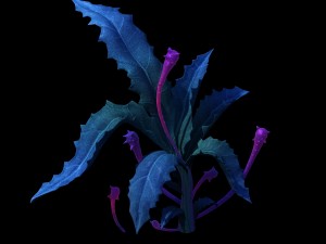 crystal swamp - flower 02 Model 3D