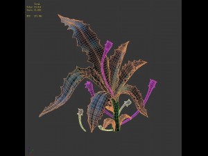 crystal swamp - flower 02 Model 3D